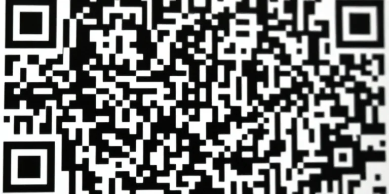 QR Code Scan History