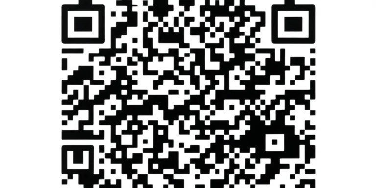 QR Code Preview